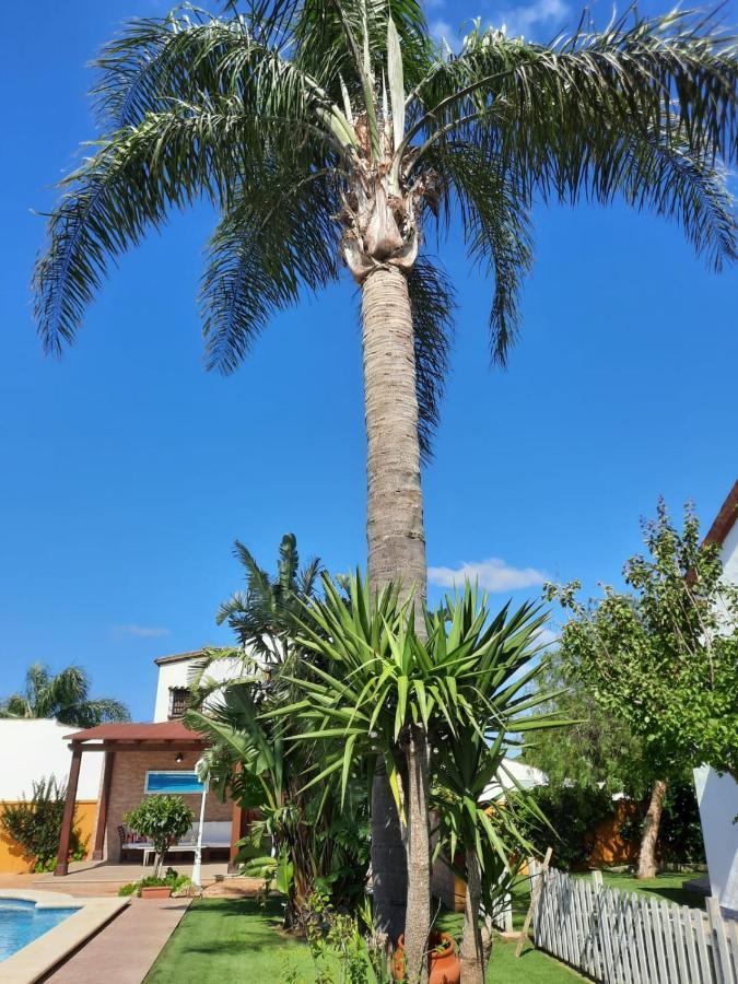 La Huerta Con Piscina Y Wifi