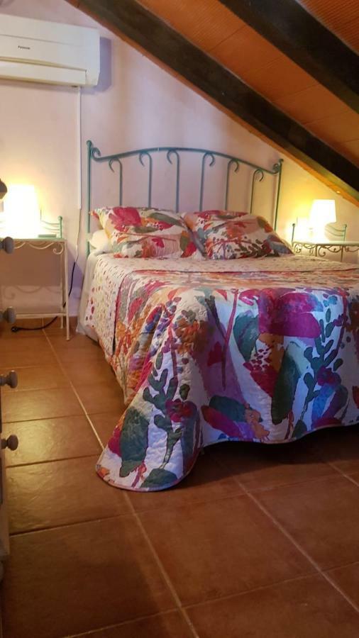La Huerta Con Piscina Y Wifi Conil De La Frontera